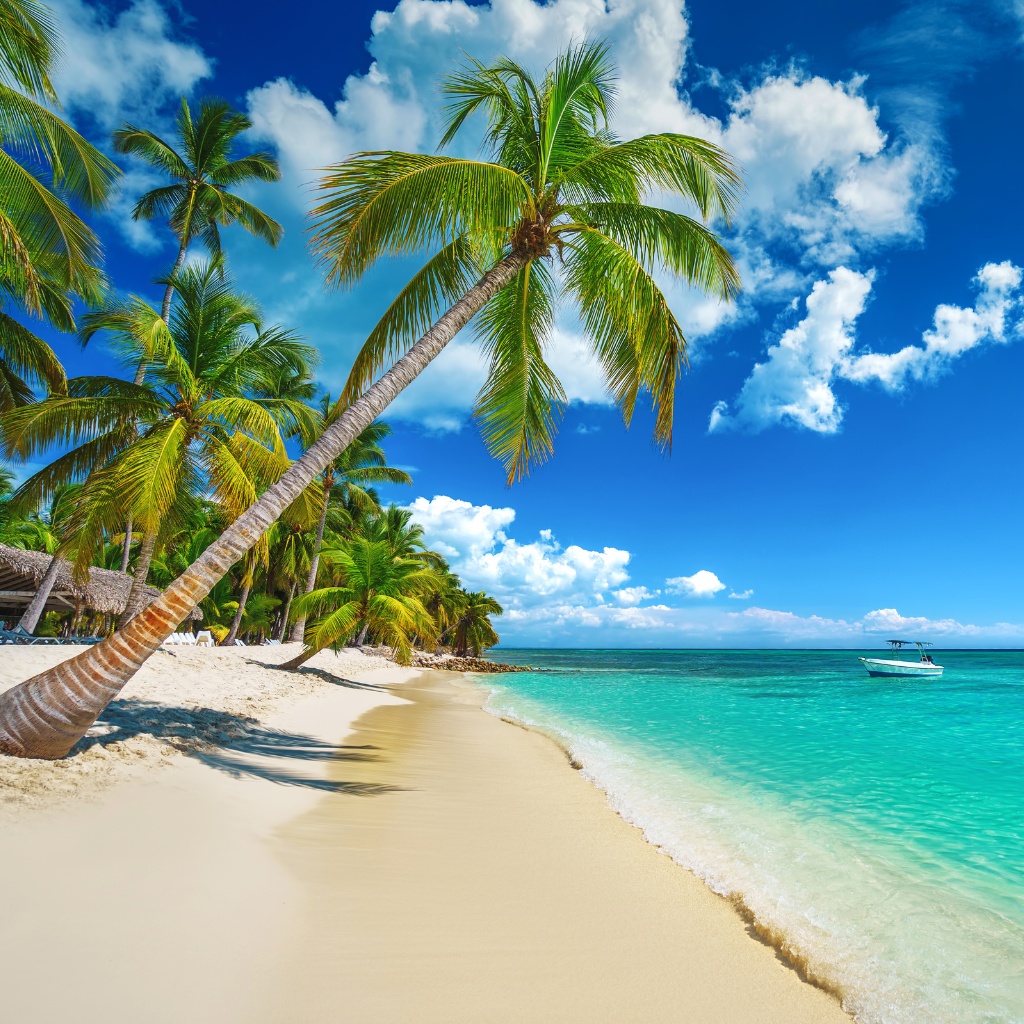 tours Isla Saona