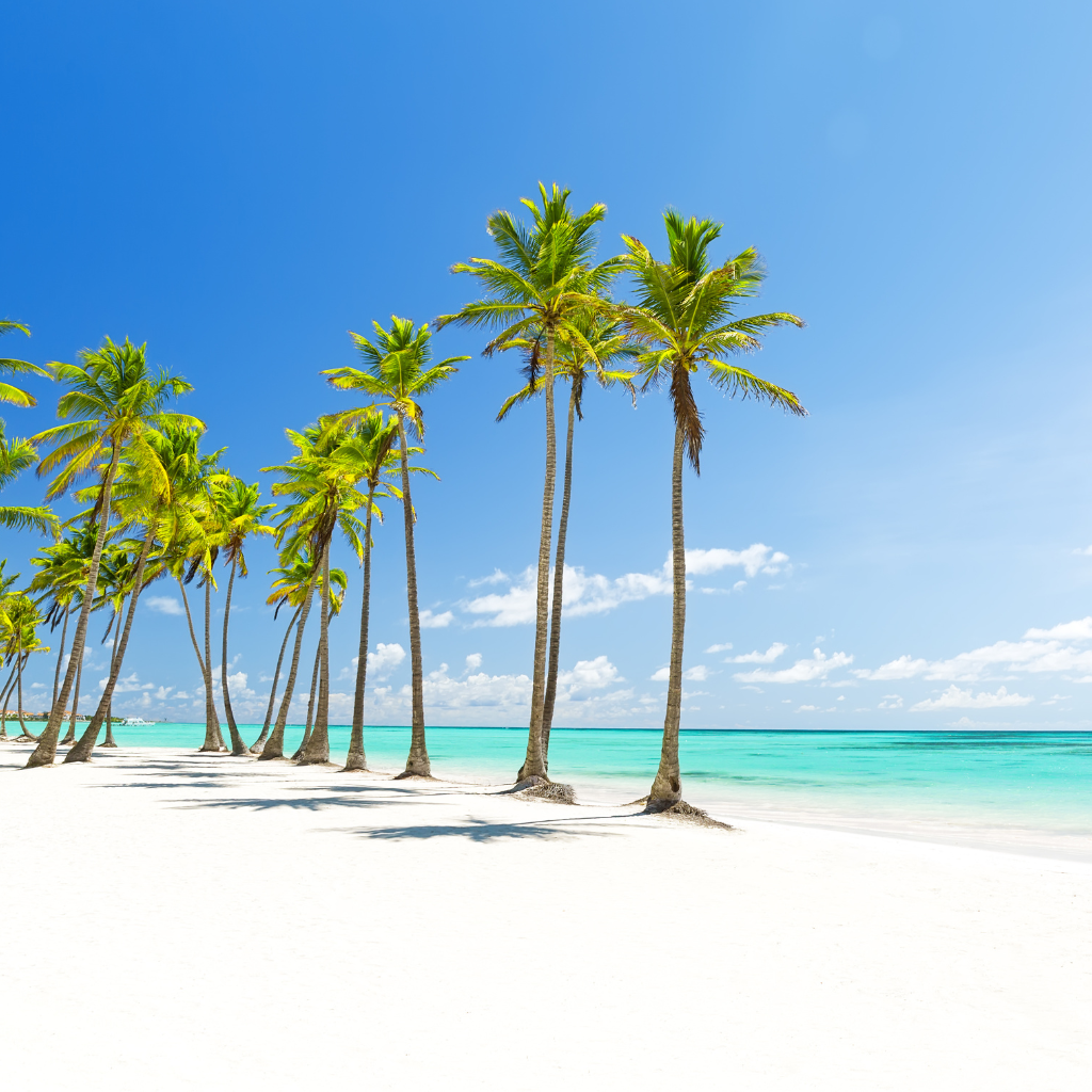full day Punta Cana