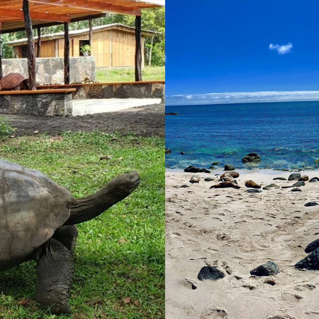 Tours Isla San Cristobal y Santa Cruz